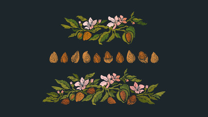 Almond set of branch and nuts Vector floral wreath