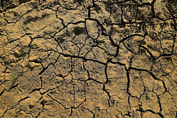 texture desert drought background abstract earth cracked warming global