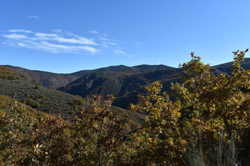 Paisaje en El Bierzo