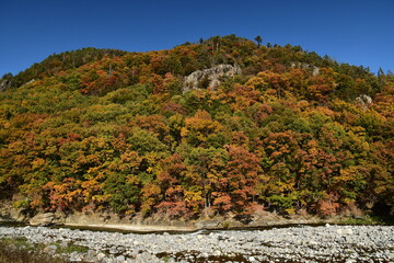 Autumn mountains with colorful trees and mountain stream.