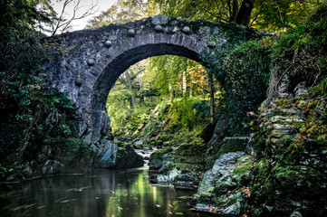 Fototapeta na wymiar forest bridge in Tollymore forest park Ireland
