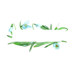 Watercolor snowdrop flowers.Rectangular frame.Wildflowers frame.Hand-painted illustration.