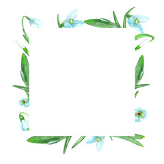 Watercolor snowdrop flowers.Square frame.Wildflowers frame.Hand-painted illustration.