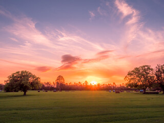 Naklejka na ściany i meble Colourful Sunset over an Open Field