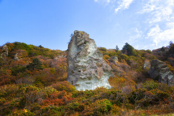 Rock among the autumn forest. Kunashir, South Kuriles