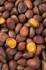 pine nuts isolated on white background