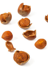 hazelnuts isolated on white background