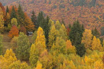 Mountain rural landscape with autumn colors In Brasov county, Romania