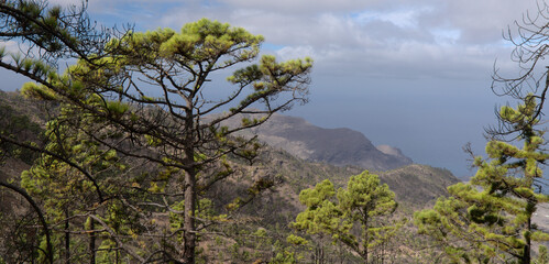 Gran Canaria, landscape of the central montainous part of the island, Las Cumbres, ie The Summits,
hiking route to Altavista, aboriginal name Azaenegue, mountain in Artenara municipality