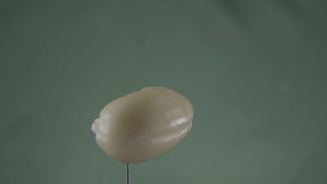 Cashew rotating with loop on green screen for chroma key