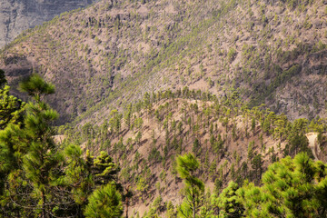 Gran Canaria, landscape of the central montainous part of the island, Las Cumbres, ie The Summits,
hiking route to Altavista, aboriginal name Azaenegue, mountain in Artenara municipality