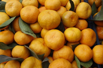 yellow and fresh mandarin background on the market for sale