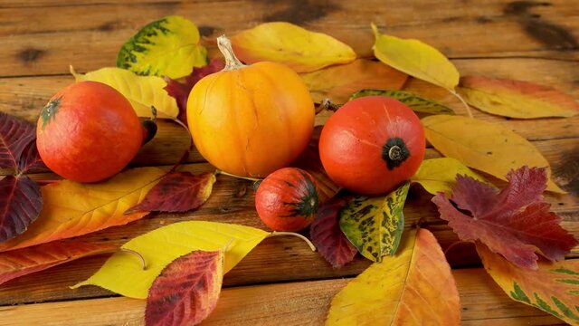 Pumpkins and autumn colored leaves on a rustical wooden table, UHD 2160_50p video