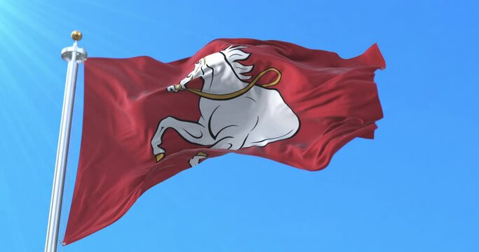 Pardubice Flag, Czech Republic. Loop