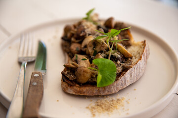 Closeup of mushroom bruschetta decorated with leaves of fresh basil on white plate