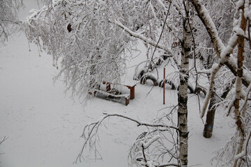 Snowy trees. Snow covered yard. Too much snow. The snow storm has passed. Beautiful winter background. Christmas Trees. Amazing natural phenomenon. Wonderful wallpaper for computer. Winter forest