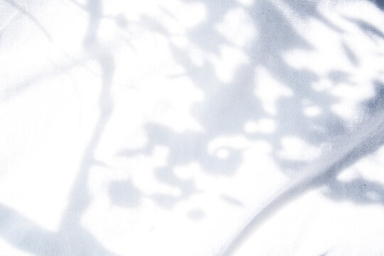 白いファブリック背景に差し込む植物の木洩れ陽