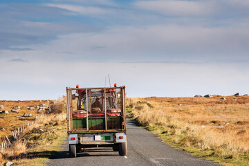 Tractor with trailer on a small country road on a hill, Blue sky in the background. Yellow grass on a side of a road. Connemara, county Galway, Ireland.