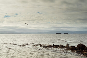 Silhouette of cargo ships in Galway bay waiting for high tide. International trade and business concept. Light pastel color. Burren mountains in the background. Selective focus. Transportation trade.