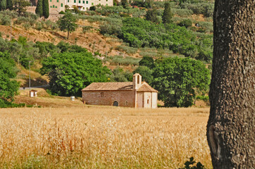 La campagna umbra a Spello, antico borgo dell'Umbria
