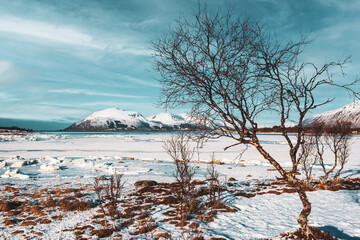 Fototapeta na wymiar Winter Norway LANDSCAPE