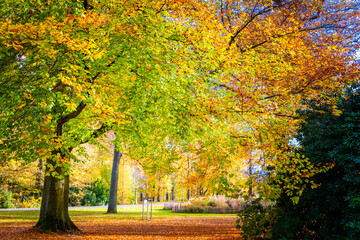 Naklejka premium autumn in the park