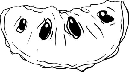 Vector hand drawn set of cherimoya. Sugar apple illustration. Delicious tropical vegetarian objects. Use for restaurant, menu, smoothie bowl, market, store, party decoration, meal.