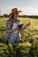 woman farmer examine wheat plant on field - obrazy, fototapety, plakaty