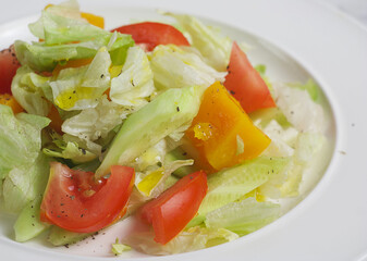 Salad with tomatoes, cucumber, pumpkin, cabbage in a plate. Closeup
