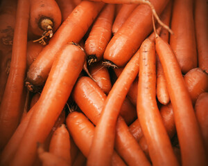 A washed delicious ripe orange carrots are lying in the grocery store. A rich harvest of vegetables. Vegetarianism.