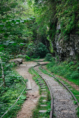 old railway in a green forest by a cliff