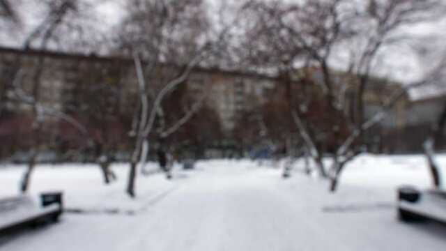 A blur image. Background image of a snow-covered park