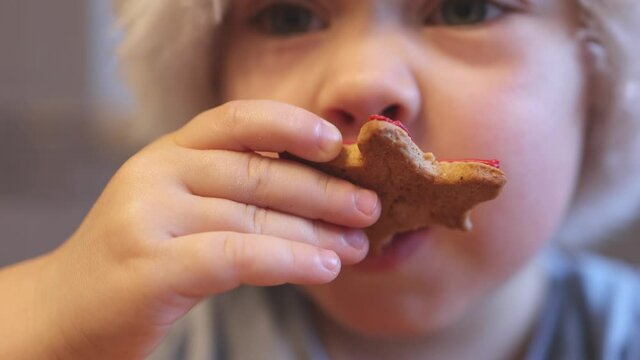 close-up mouth with cheeks of caucasian baby child boy in Santa hat eating, biting and chewing traditional homemade Christmas cookie or biscuit. kid blue shirt having breakfast winter holidays home 