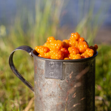cloudberry is a sweet and vitamin-rich berry