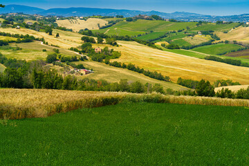 Rural landscape along the road from Fano to Mondavio, Marche