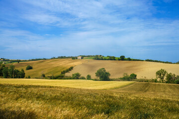 Fototapeta premium Rural landscape along the road from Fano to Mondavio, Marche