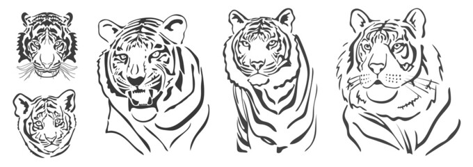 Set of Tigers silhouettes. chinees tiger. 2022. Vector