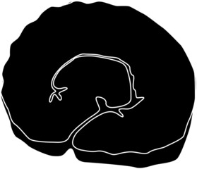 伊達巻のシルエット素材