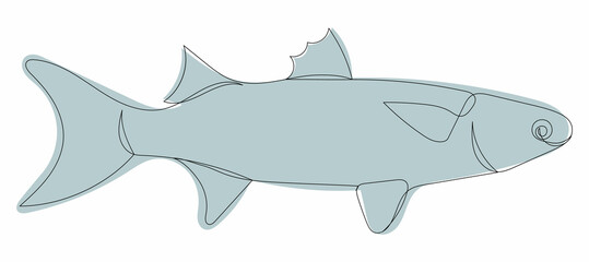 fish continuous line drawing vector, isolated