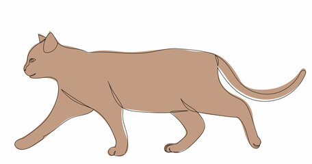cat walking continuous line drawing vector, isolated