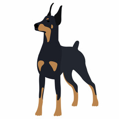 dog in flat style vector, isolated