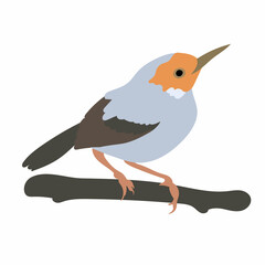 bird on branch in flat style vector, isolated