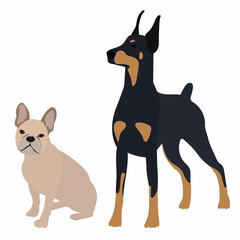 dogs in flat style vector, isolated