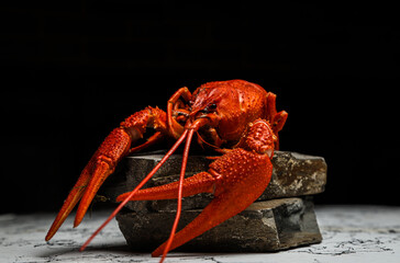Fresh lobster food. red lobster dinner seafood