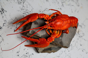 Fresh lobster food. red lobster dinner seafood