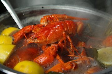 Fresh lobster food. red lobster dinner seafood.