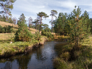 The Crni Rzav stream in the valley in Vodice on the Zlatibor mountain in Serbia