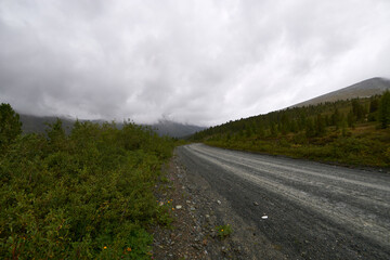 Wet dirt road on a gloomy rainy morning.