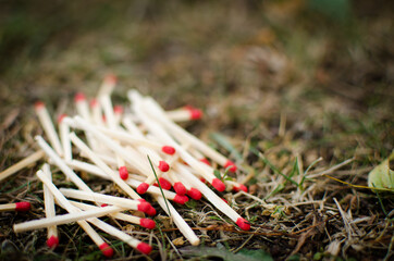 matches in the forest on moss background