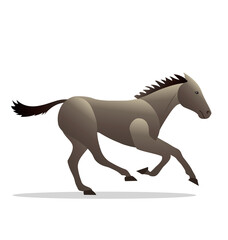 galloping gray horse side view